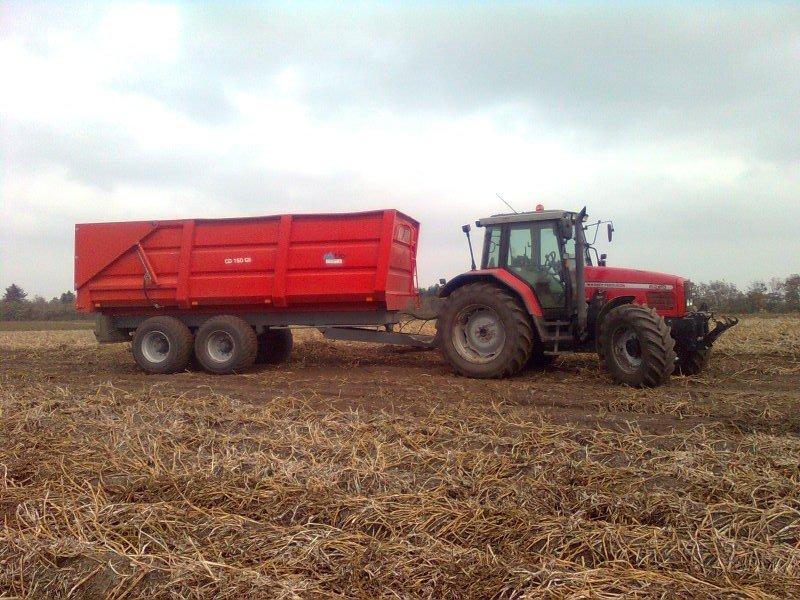 Massey Ferguson 6290 - Fra kørsel !  billede 2