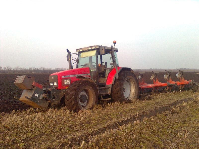 Massey Ferguson 6290 - Fine traktor  billede 4