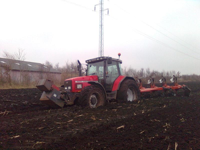 Massey Ferguson 6290 - Ja Det siger sig selv ! :D  billede 6