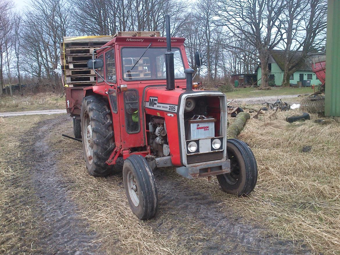 Massey Ferguson 285 billede 1