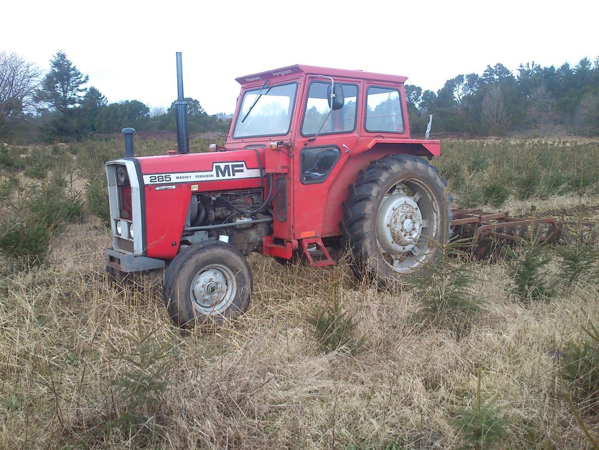 Massey Ferguson 285 billede 5