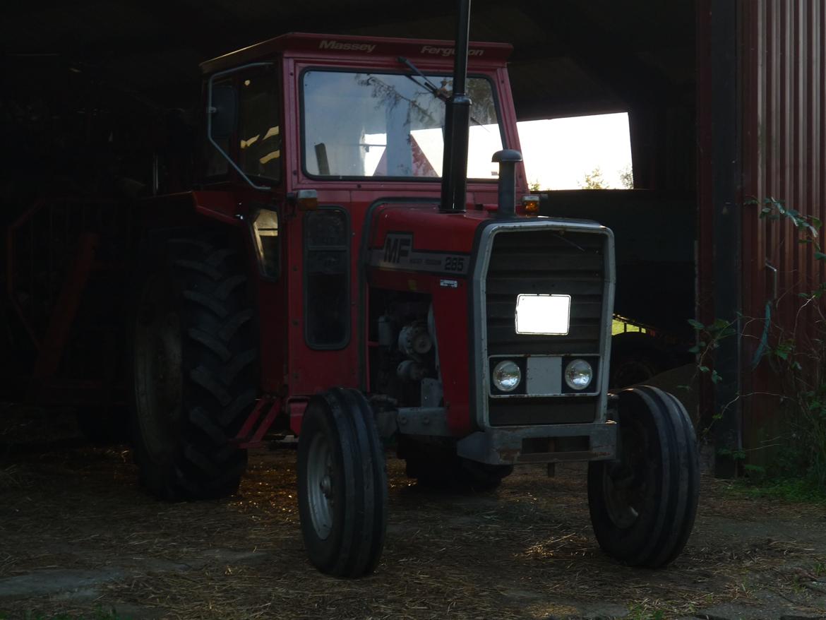 Massey Ferguson 285 billede 7