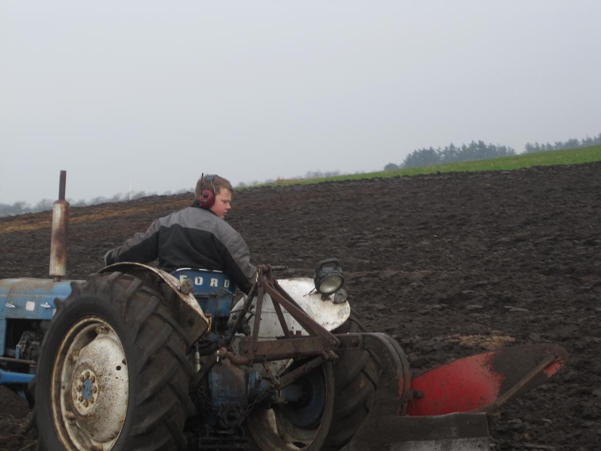 Ford super dexta billede 2