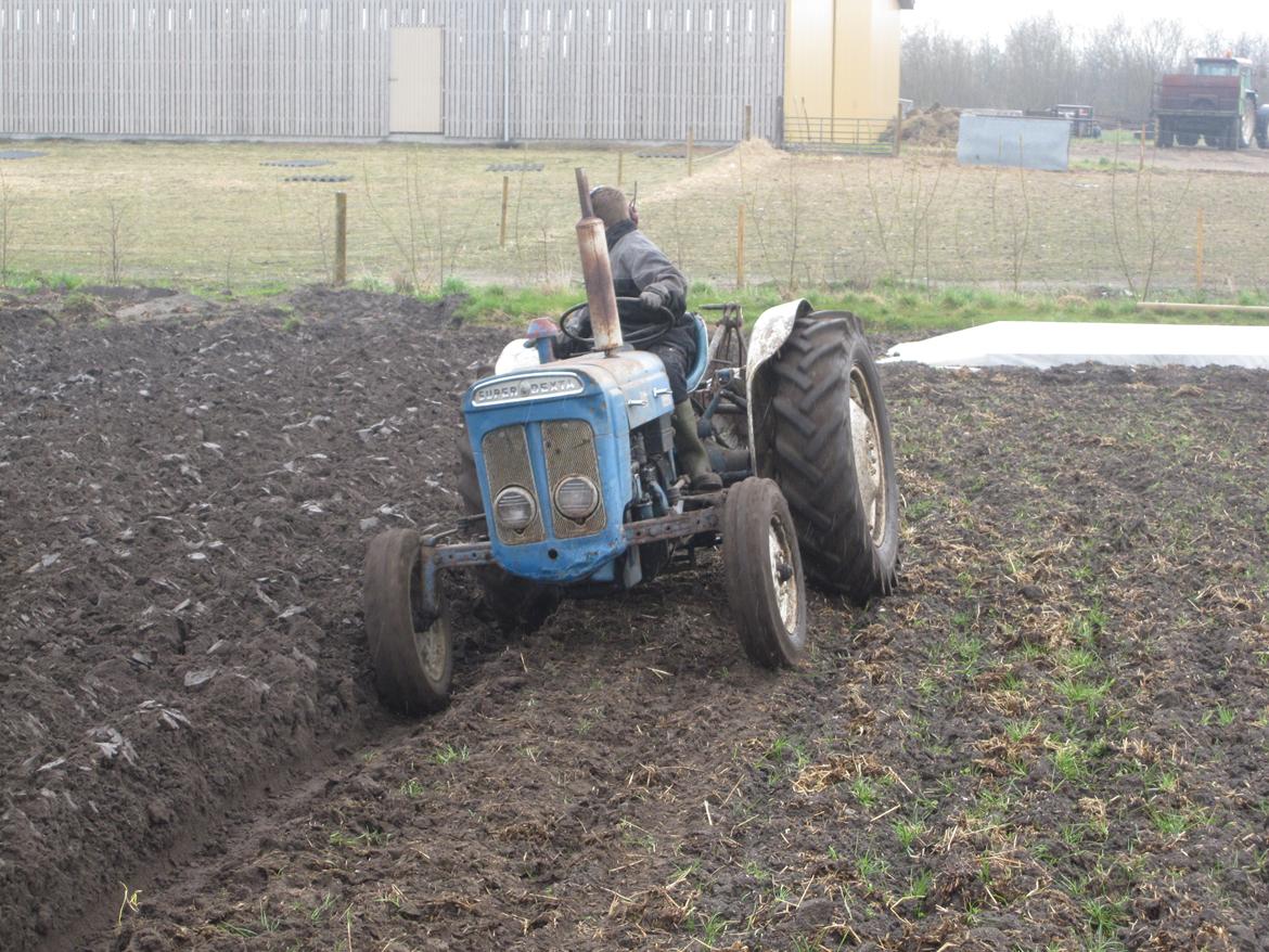 Ford super dexta billede 3