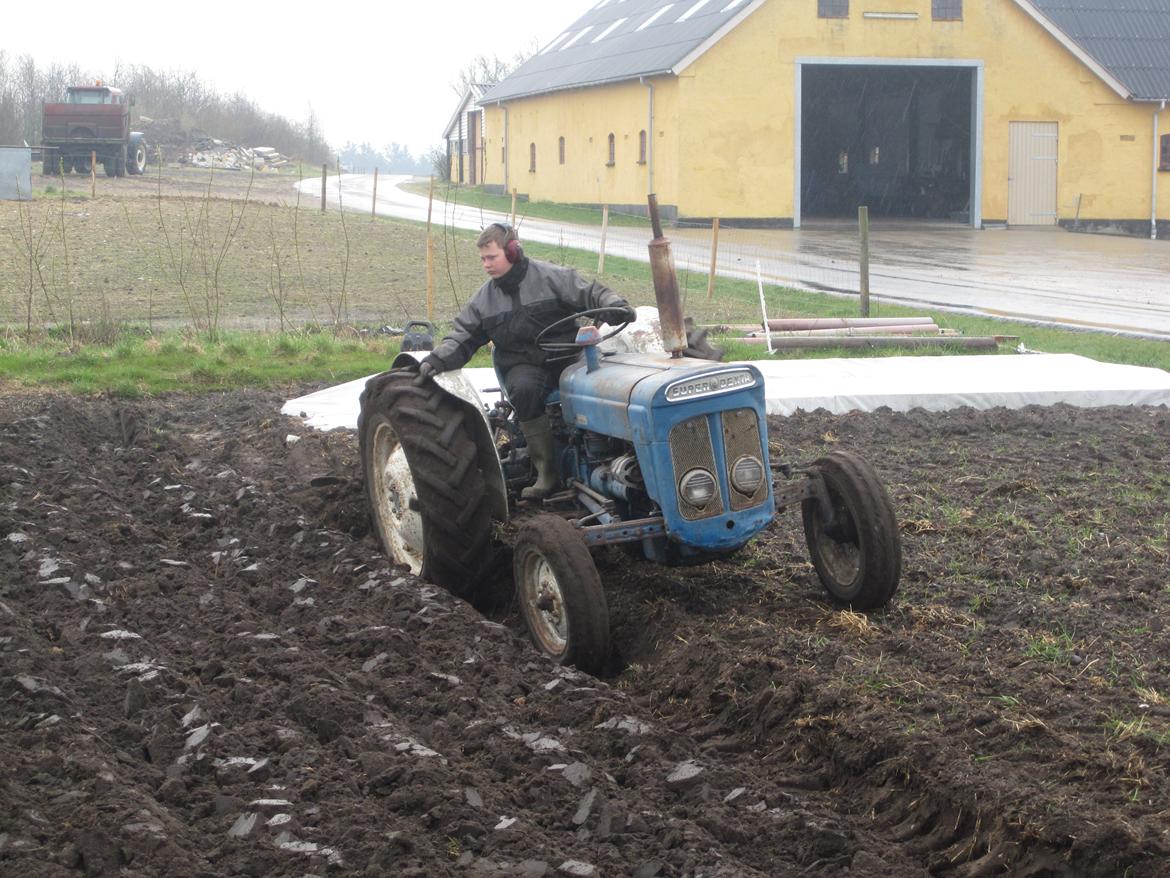 Ford super dexta billede 4