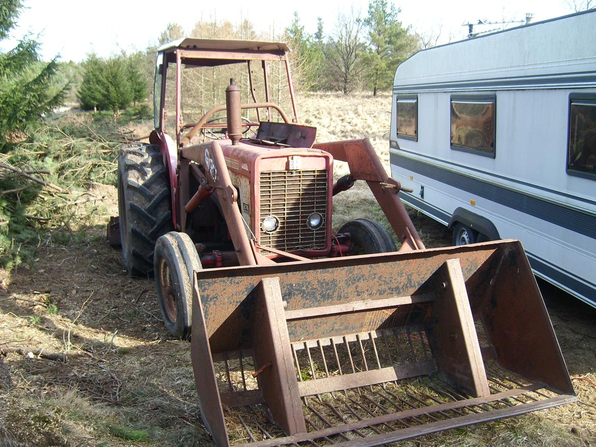 International Harvester 276 billede 2