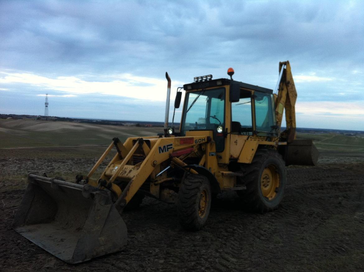 Massey Ferguson 60H Rendegraver(SOLGT) billede 1