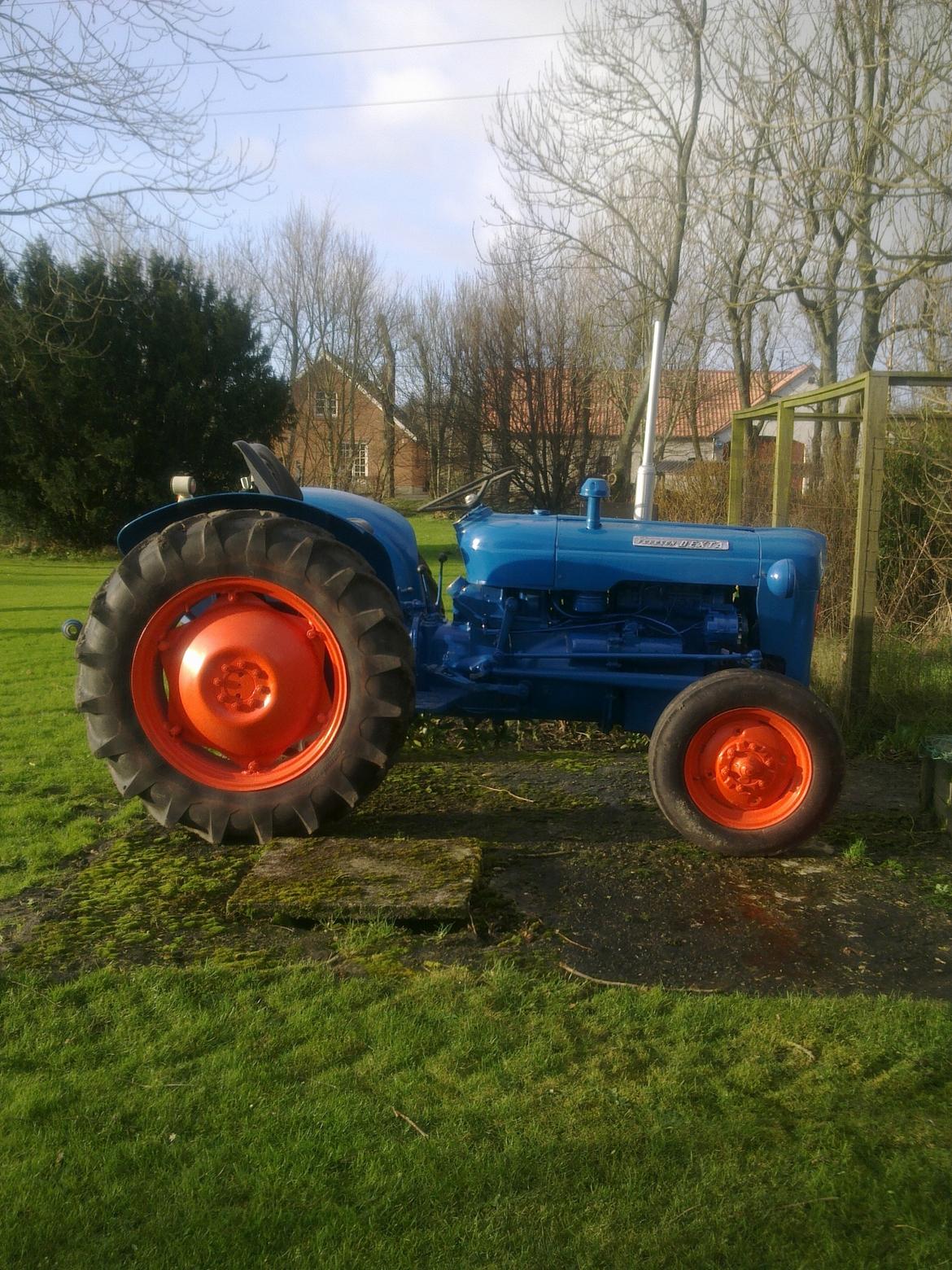 Fordson Dexta - Nymalet og Nyvasket billede 2