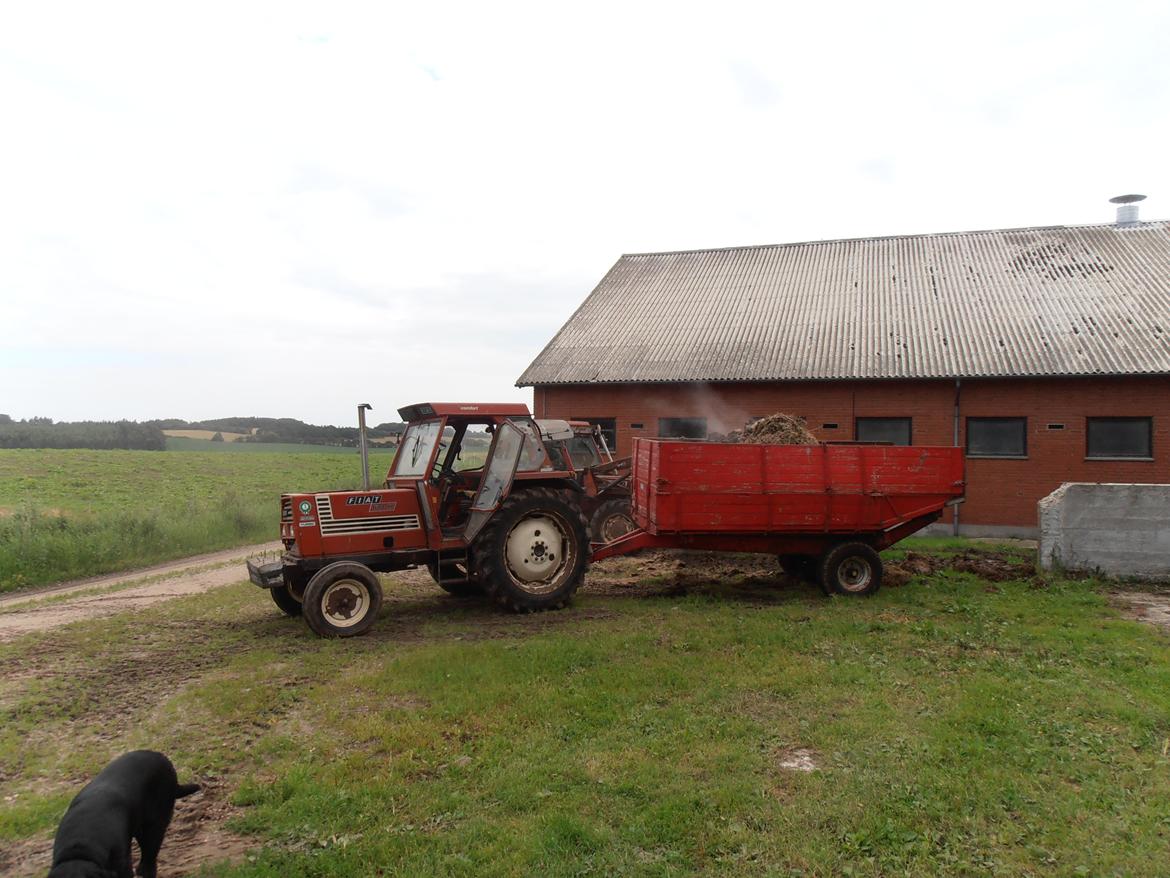 Fiat 680 H billede 12