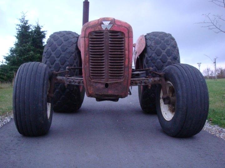 Massey Ferguson FE 35 Benzin billede 9