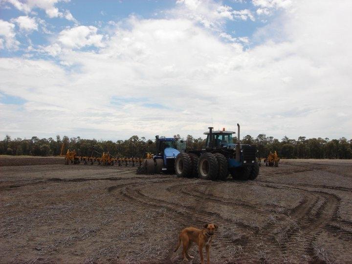 New Holland 9050 - Stuck again billede 12