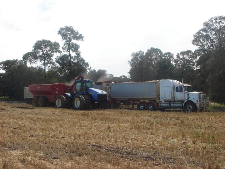 New Holland 9050 - Loading of road train (640 hk Western Star) billede 5