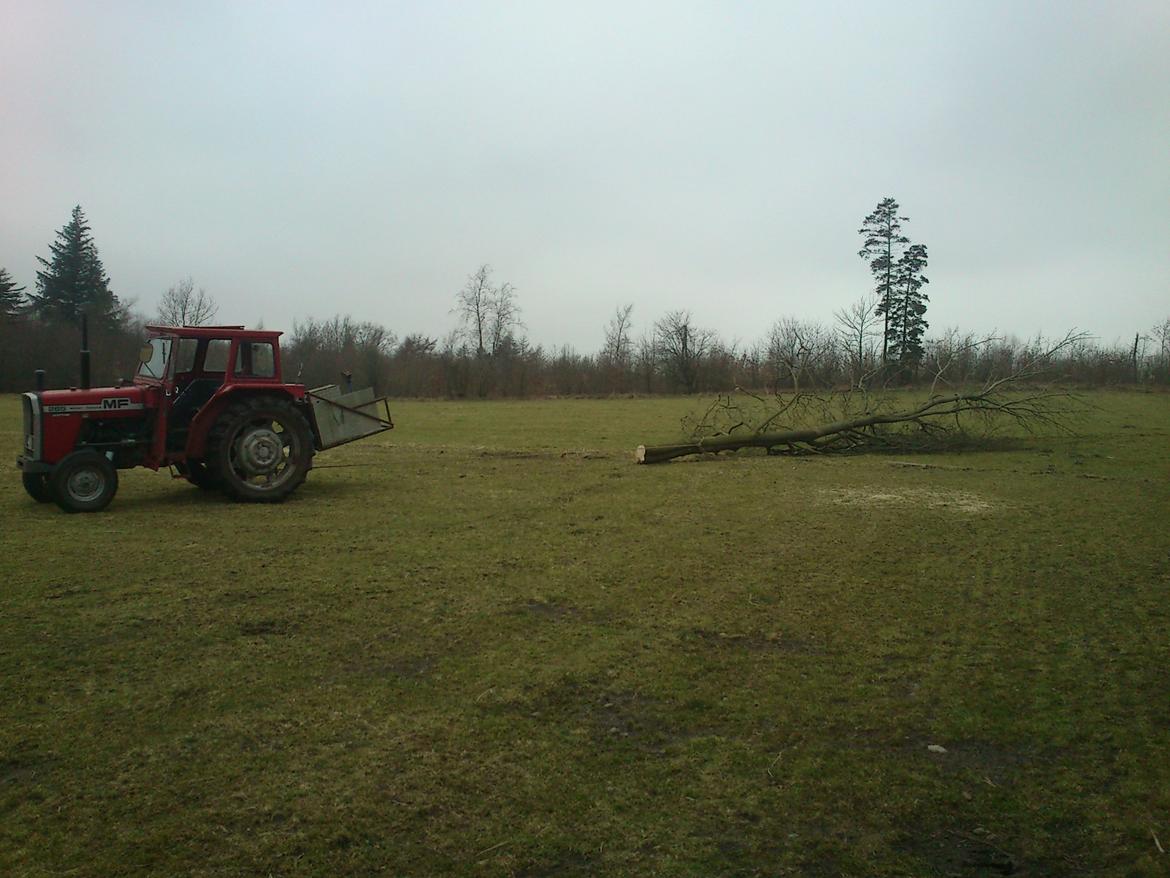 Massey Ferguson 285 billede 9