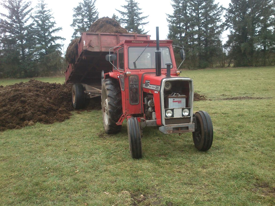 Massey Ferguson 285 billede 10