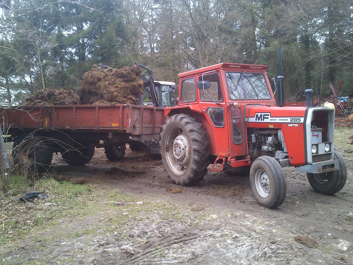 Massey Ferguson 285 billede 11