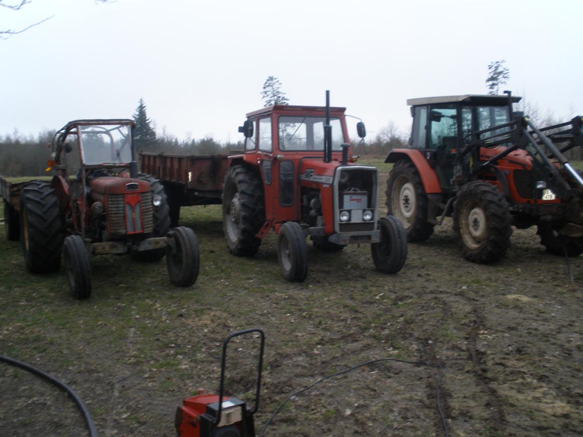 Massey Ferguson 285 billede 12