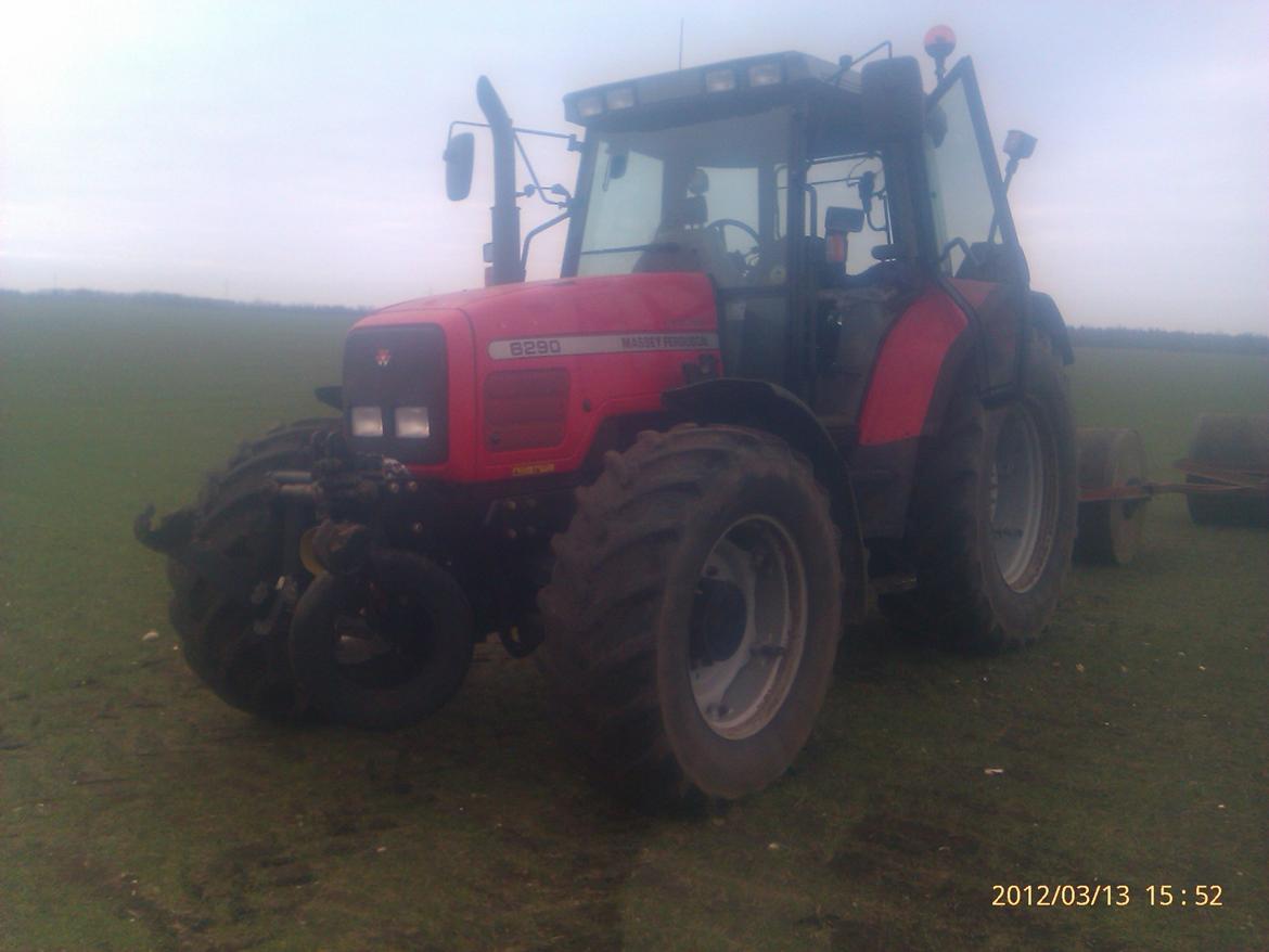 Massey Ferguson 6290 billede 7