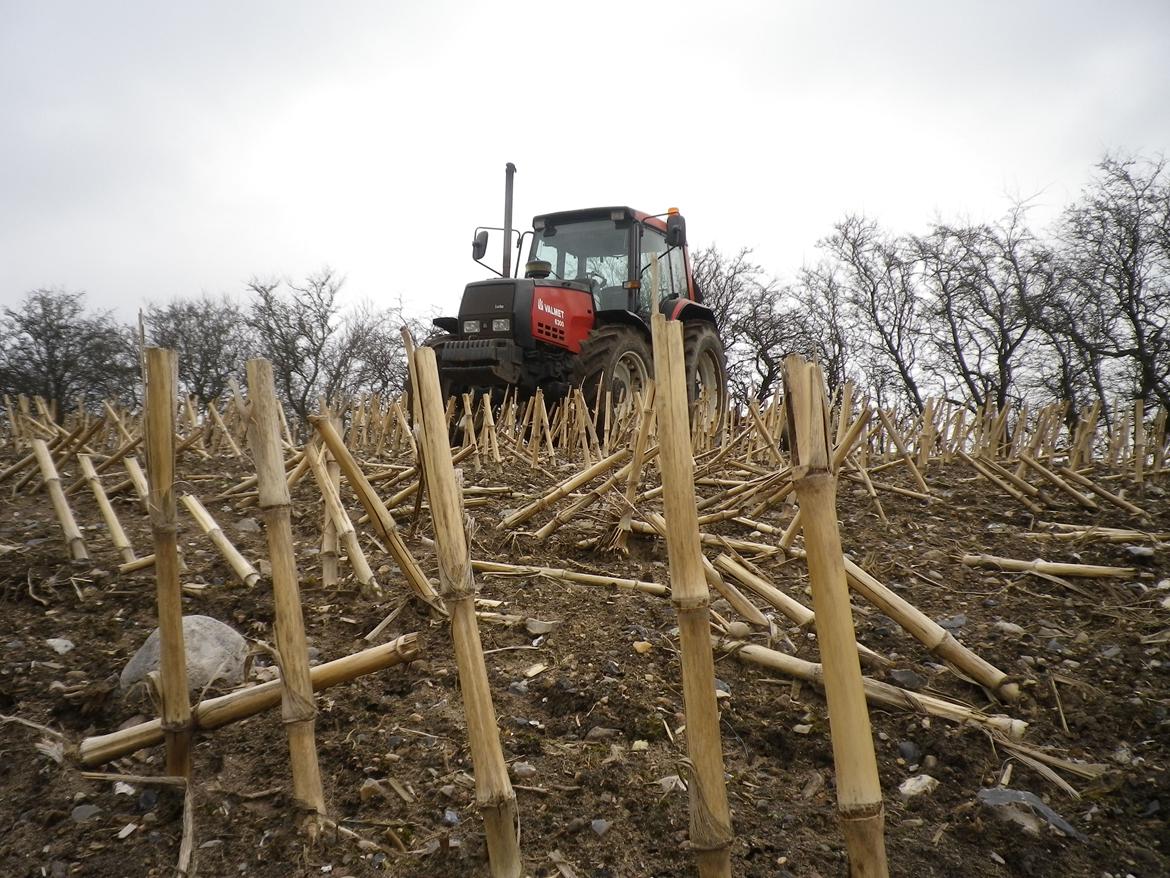 Valmet 6300 billede 4