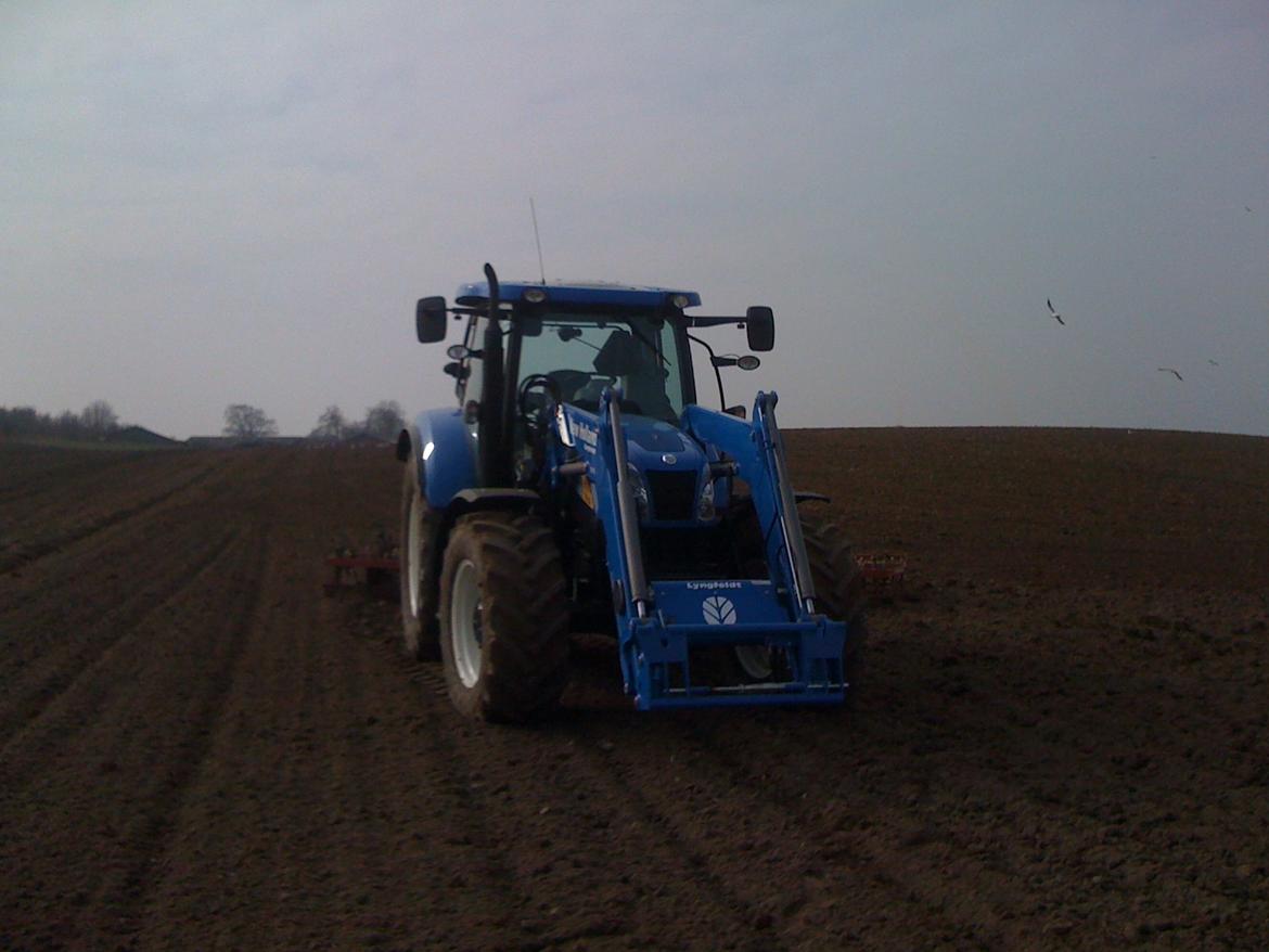 New Holland t6030 ELITE  billede 1