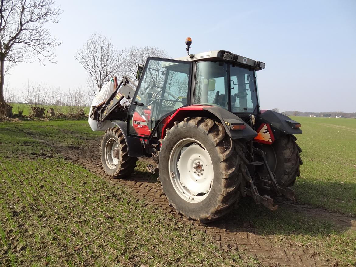 Massey Ferguson 6160 billede 3