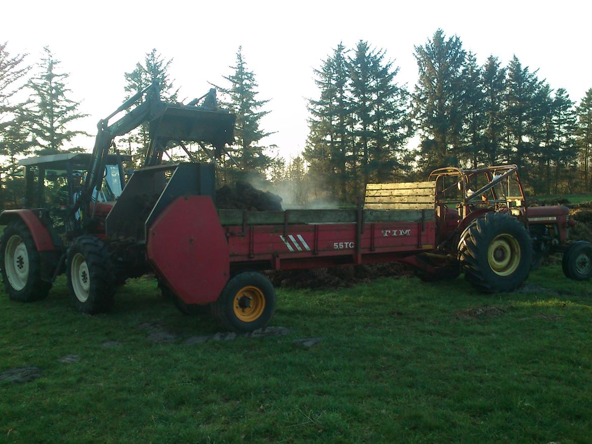Massey Ferguson 65 billede 2