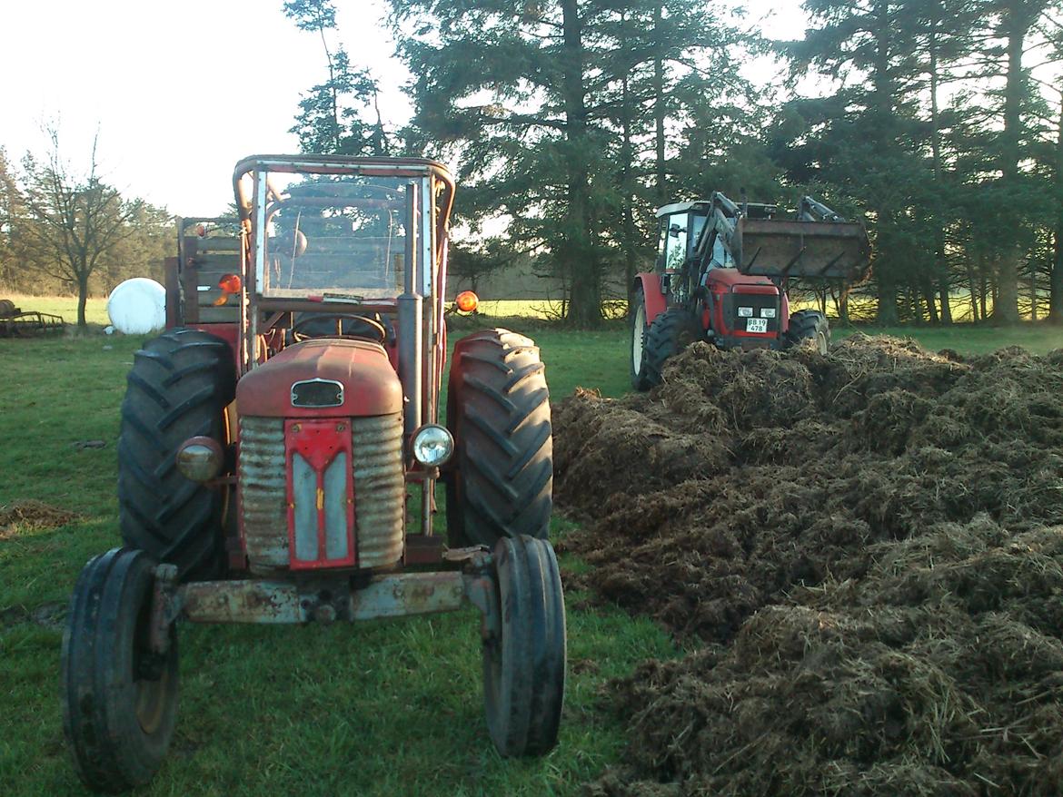 Massey Ferguson 65 billede 3