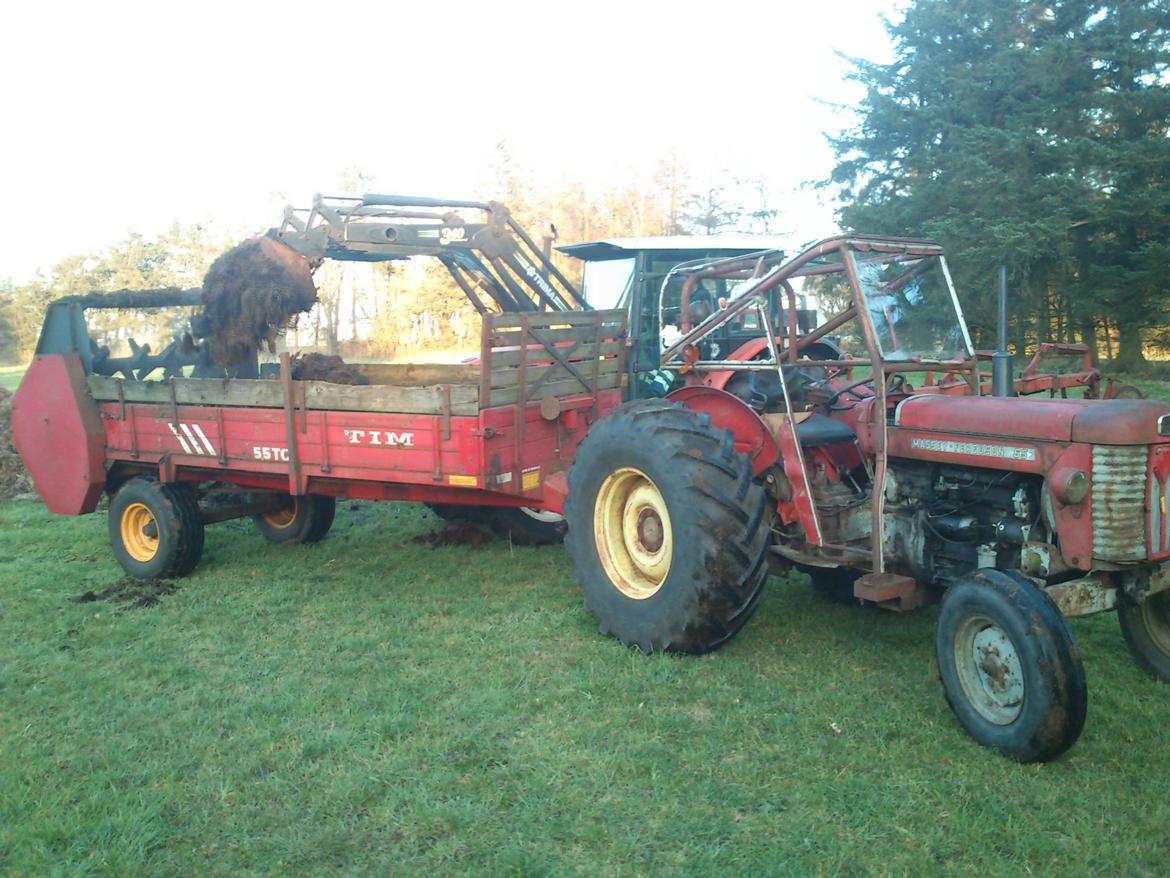 Massey Ferguson 65 billede 4