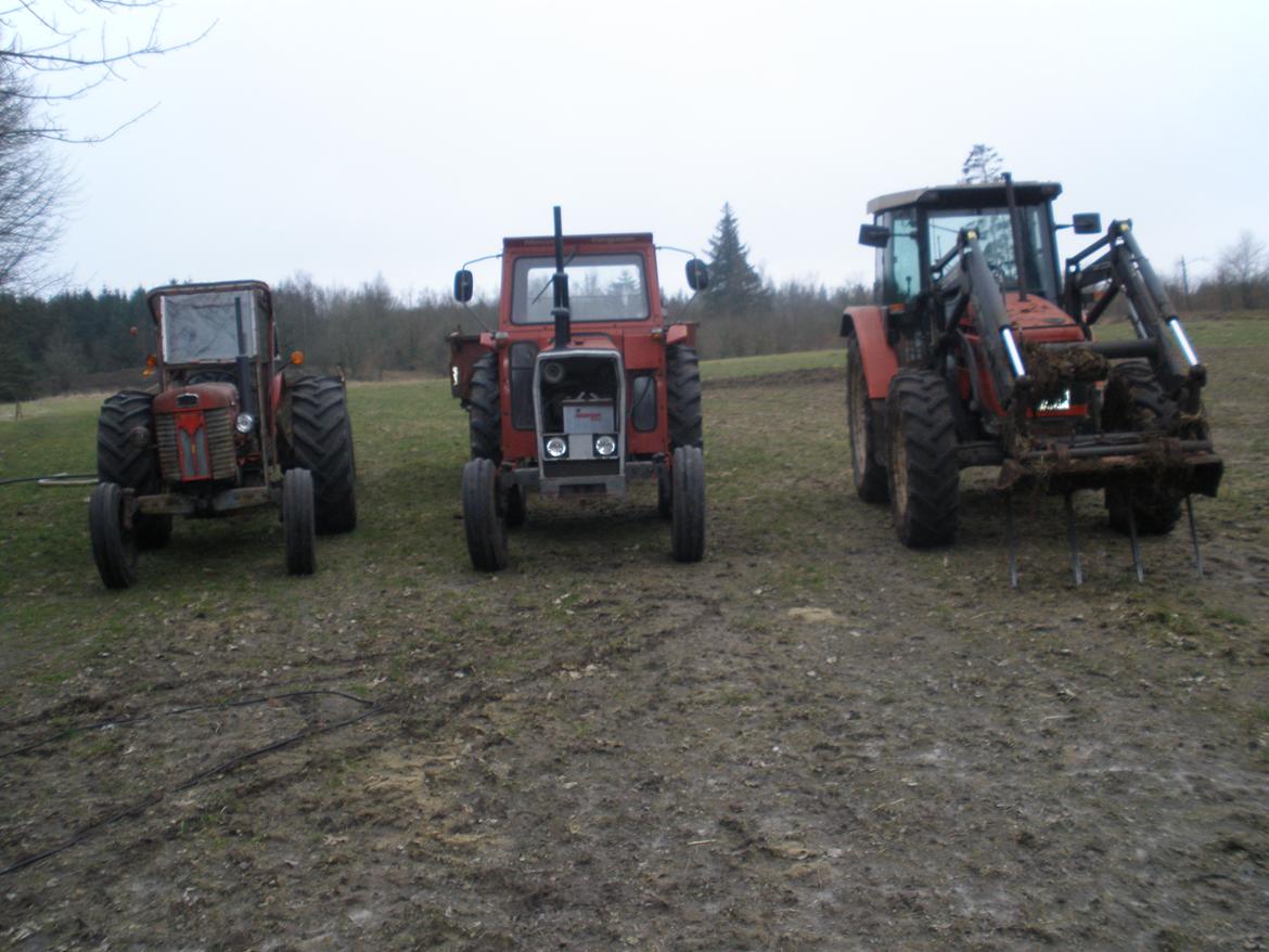 Massey Ferguson 65 billede 5