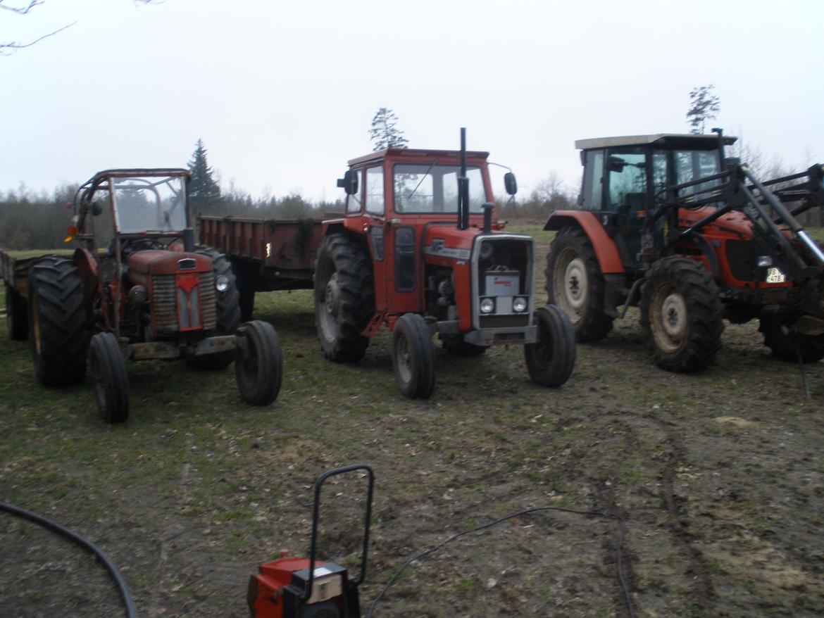 Massey Ferguson 65 billede 6