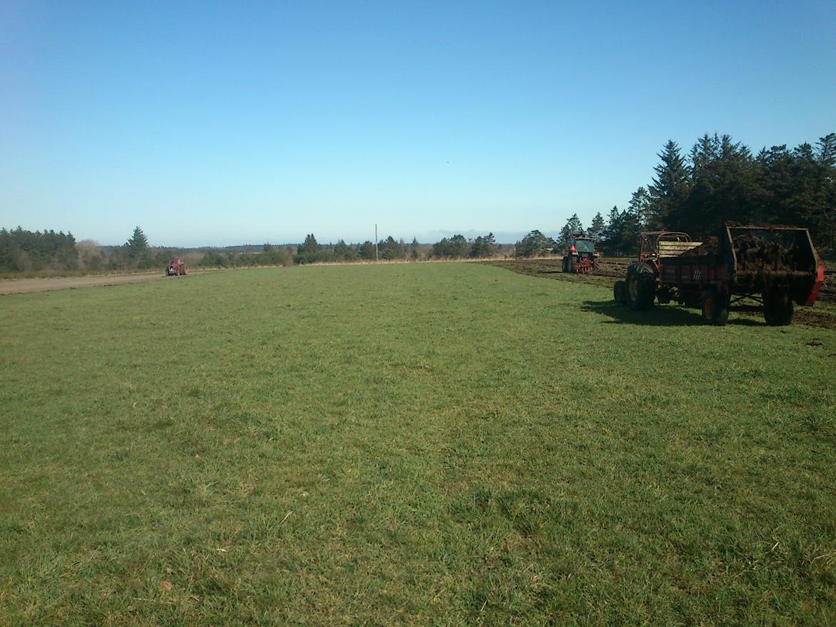 Massey Ferguson 65 billede 9