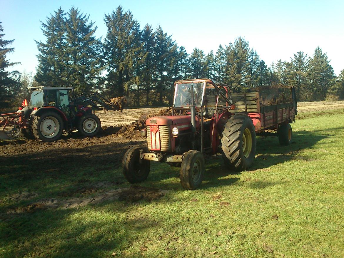 Massey Ferguson 65 billede 10
