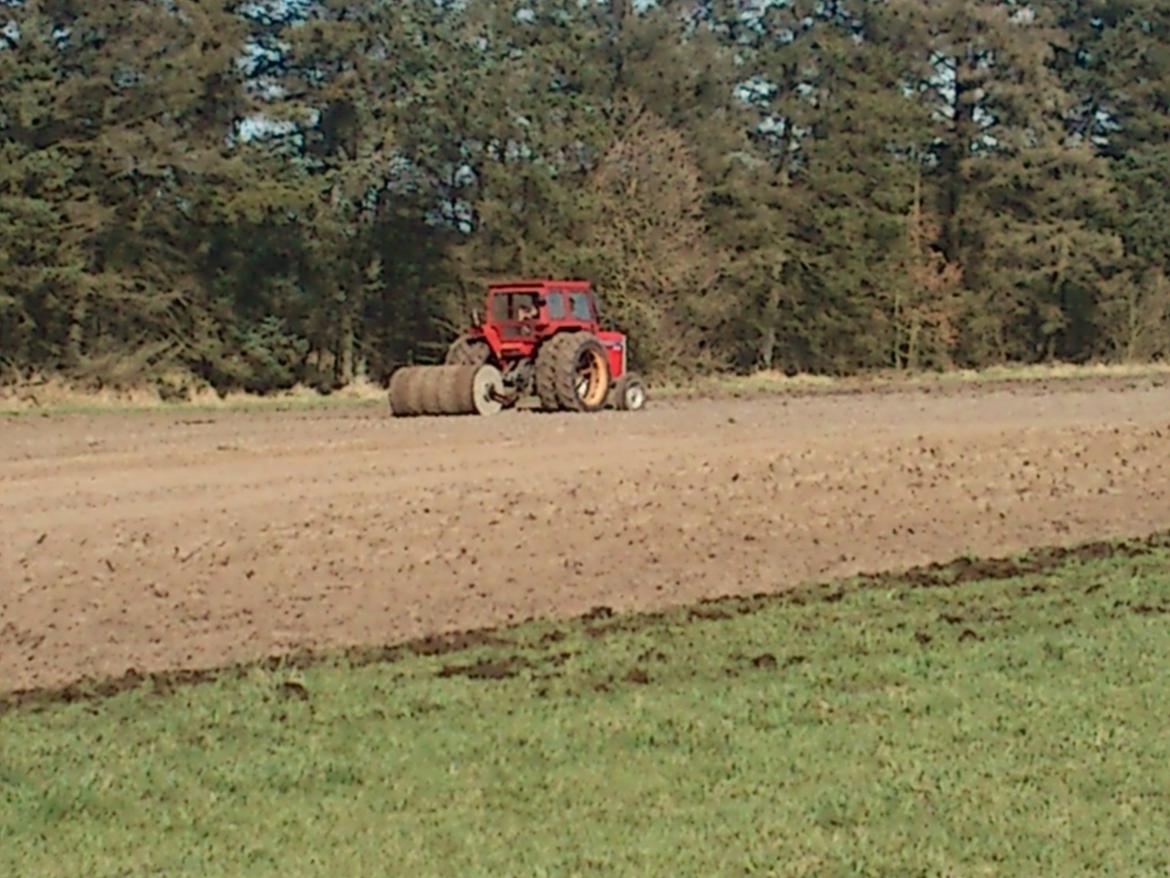 Massey Ferguson 285 billede 15