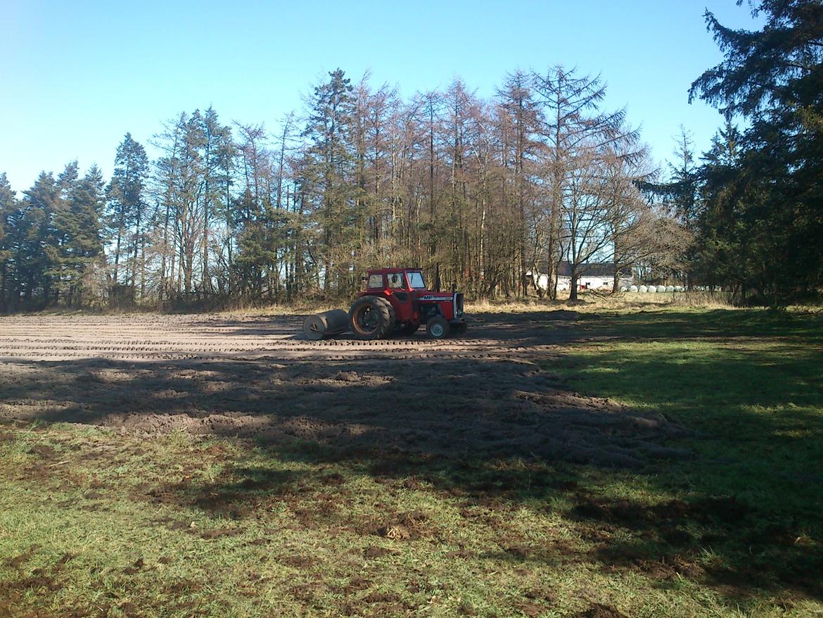 Massey Ferguson 285 billede 16