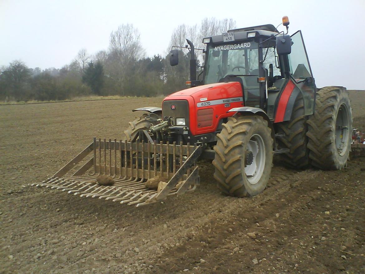 Massey Ferguson 4370 billede 2