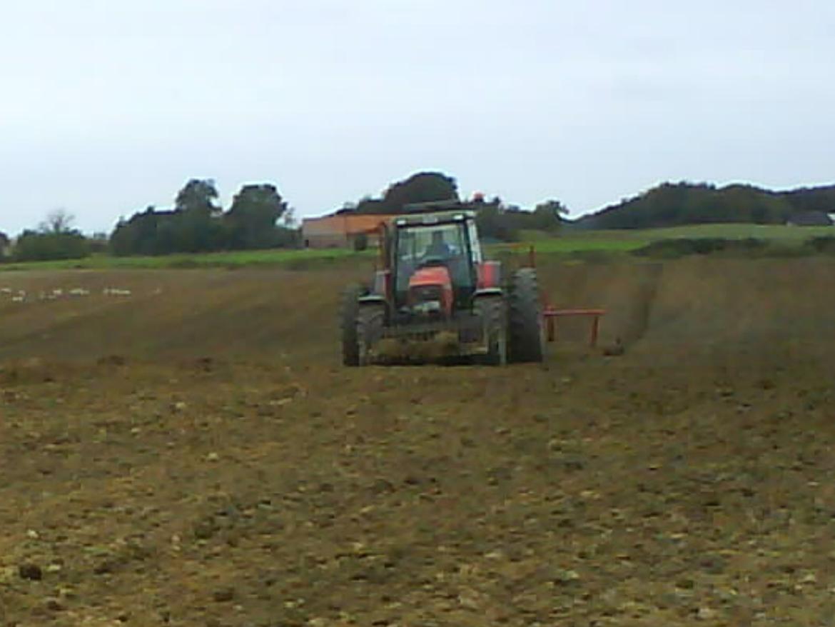 Massey Ferguson 4370 billede 6