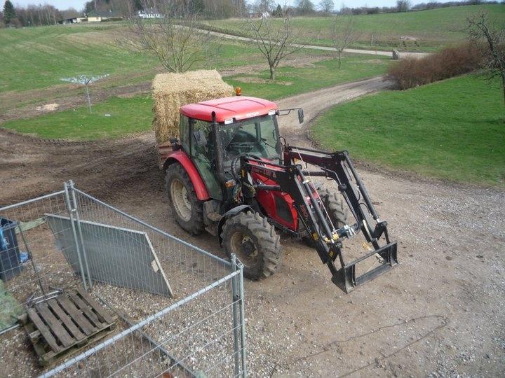 Zetor 6441 billede 2