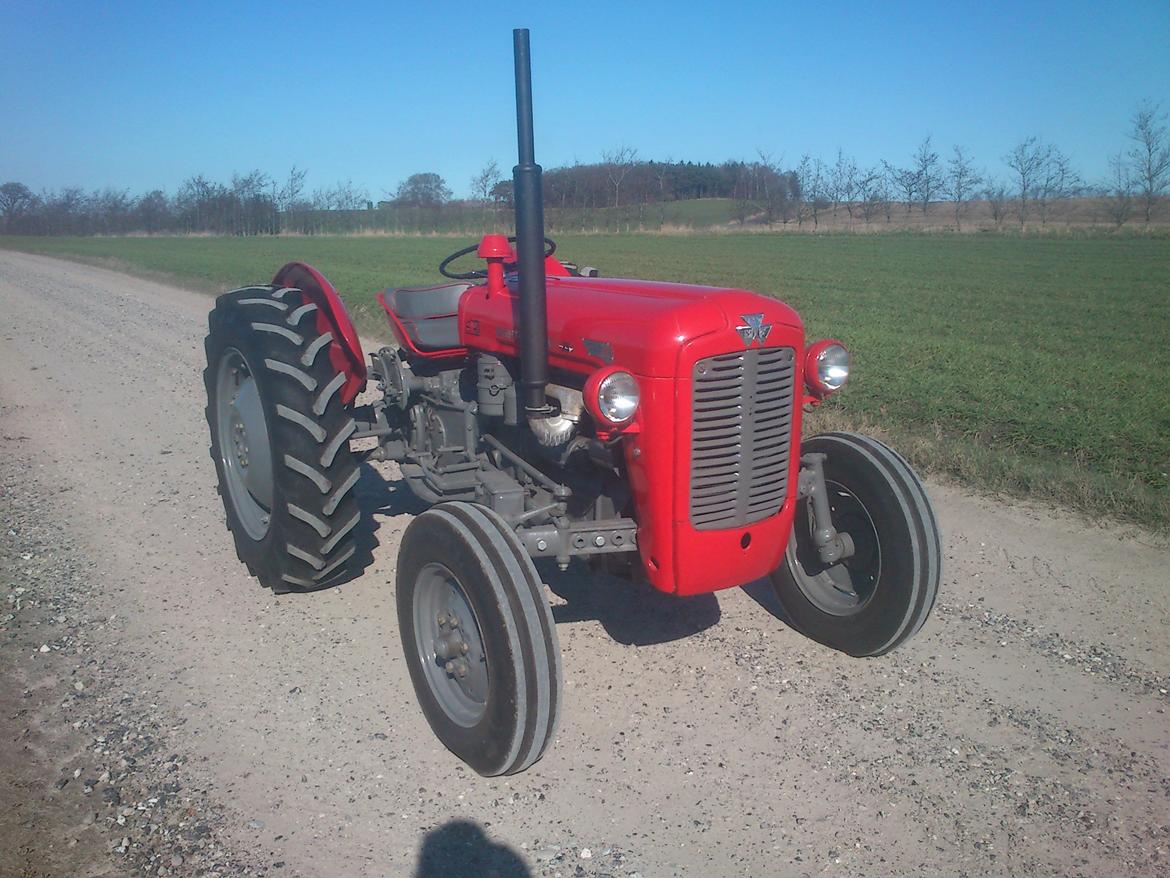 Massey Ferguson 35 billede 1