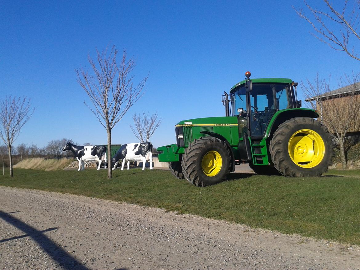 John Deere 6600 billede 10