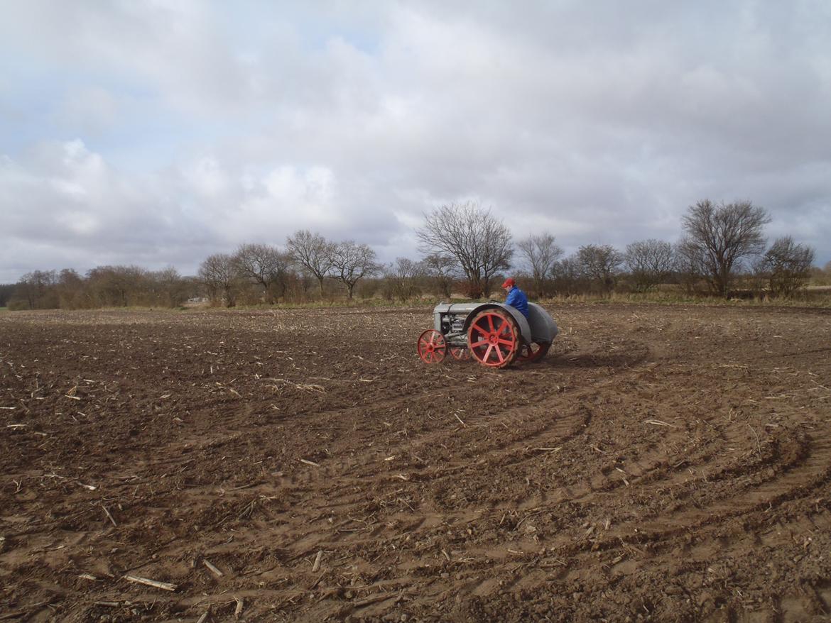 Fordson F billede 12