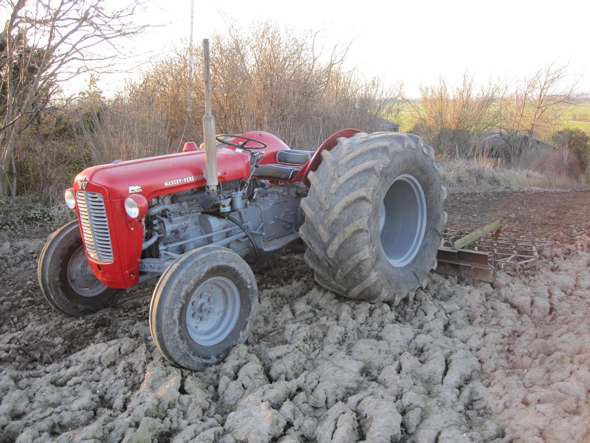 Massey Ferguson 35 x billede 9