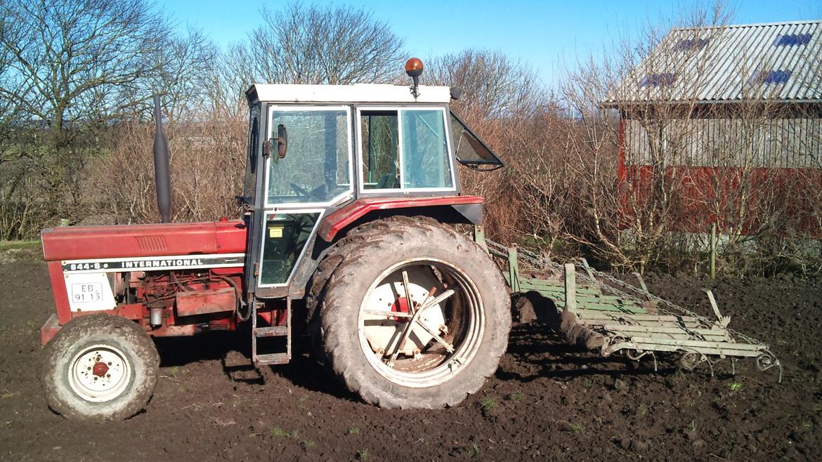 Case IH IH 844-s billede 2