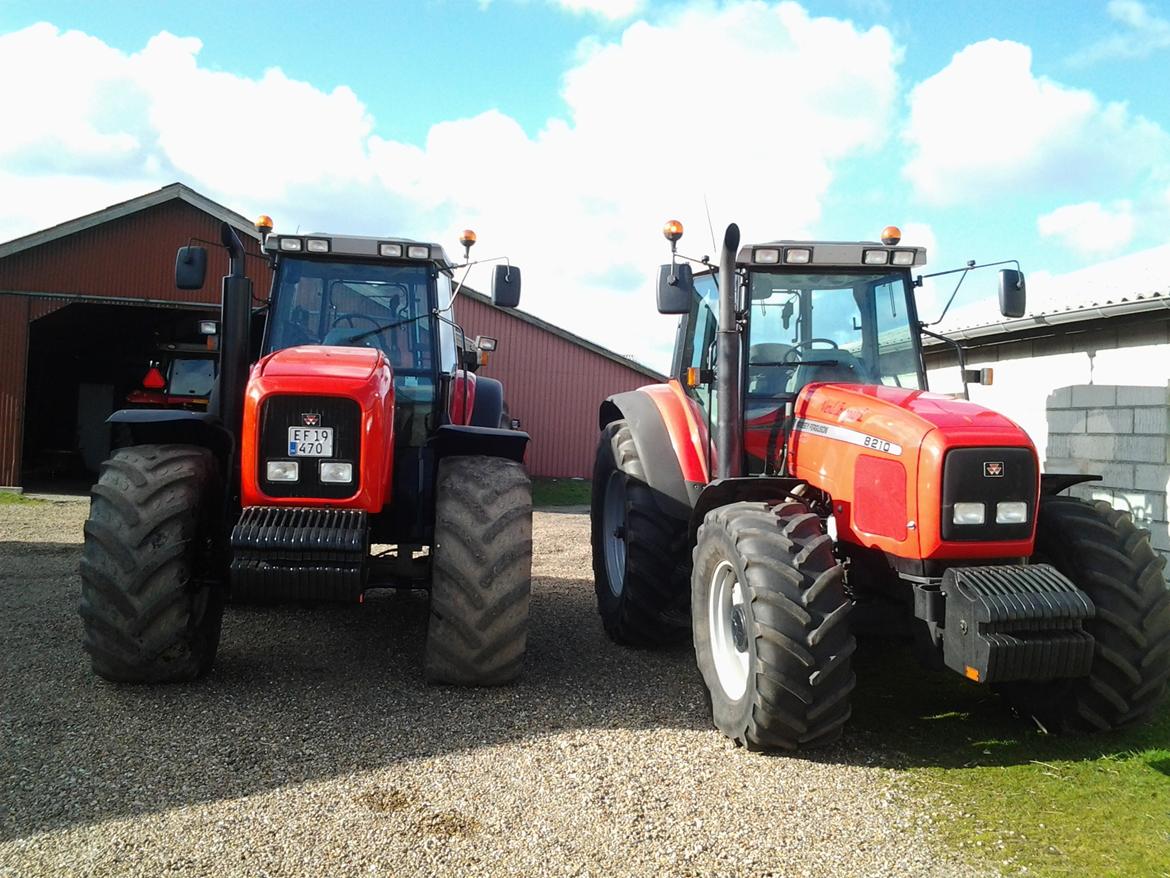 Massey Ferguson 8270 billede 3