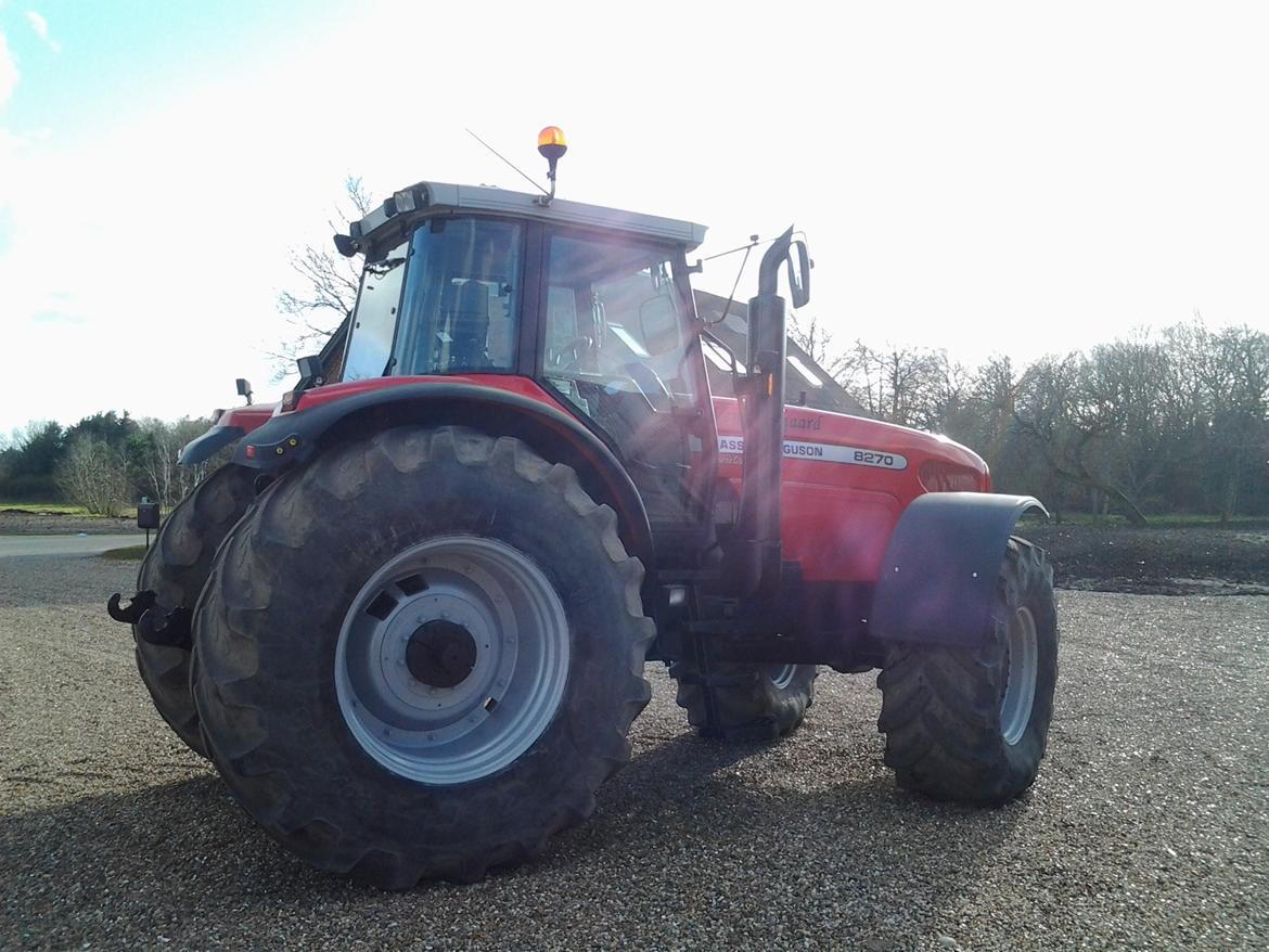 Massey Ferguson 8270 billede 10