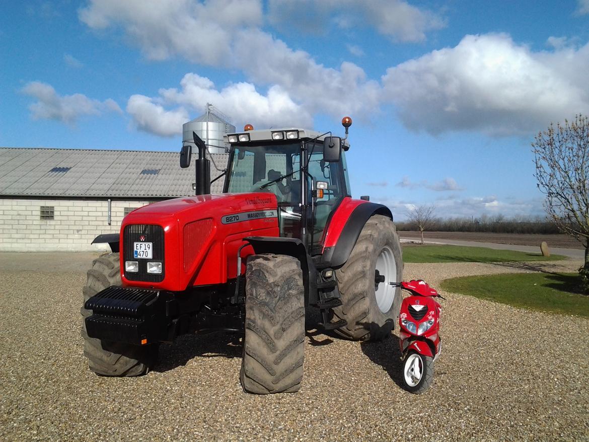 Massey Ferguson 8270 billede 11