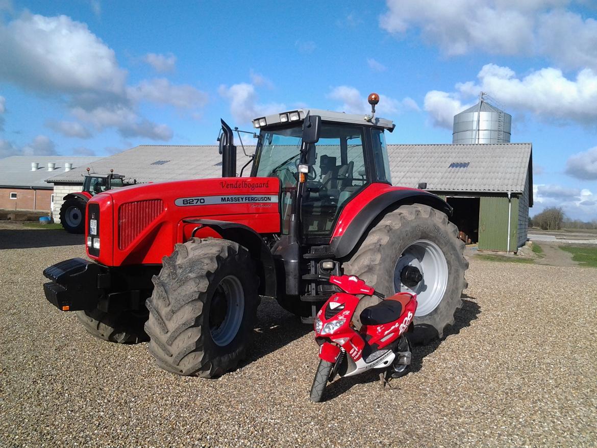 Massey Ferguson 8270 billede 12