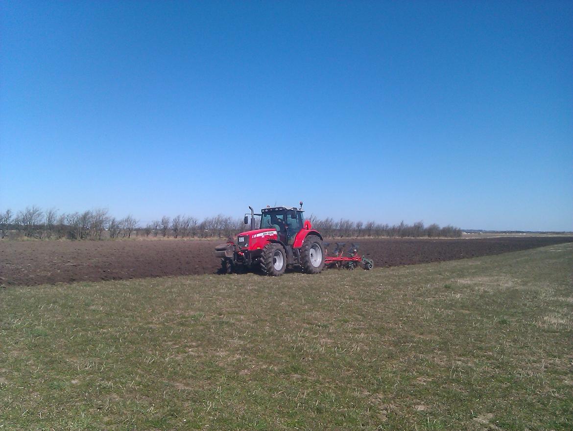 Massey Ferguson 6475 dyna6 (chauffør)  billede 11