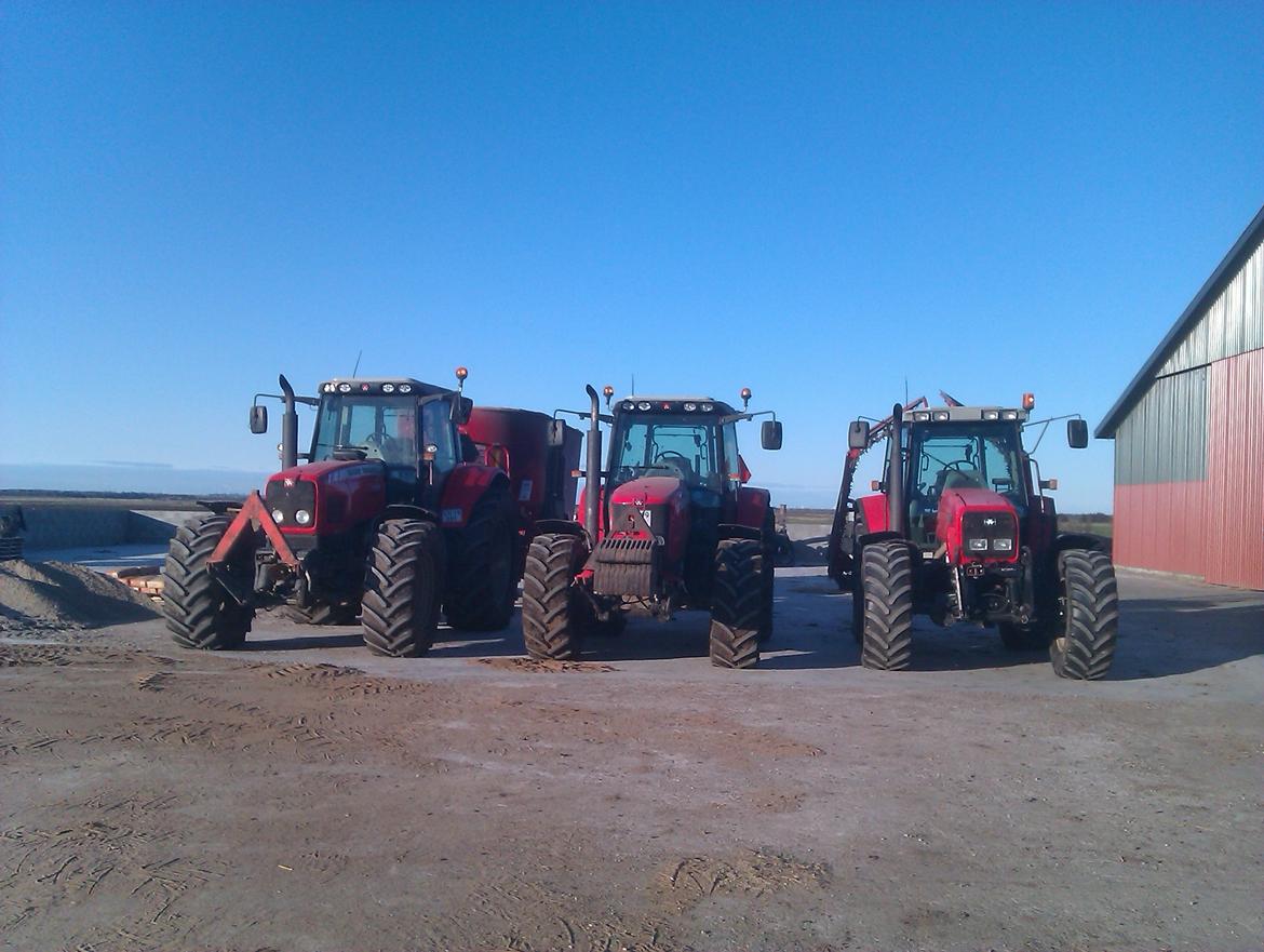 Massey Ferguson 6475 dyna6 (chauffør)  billede 20