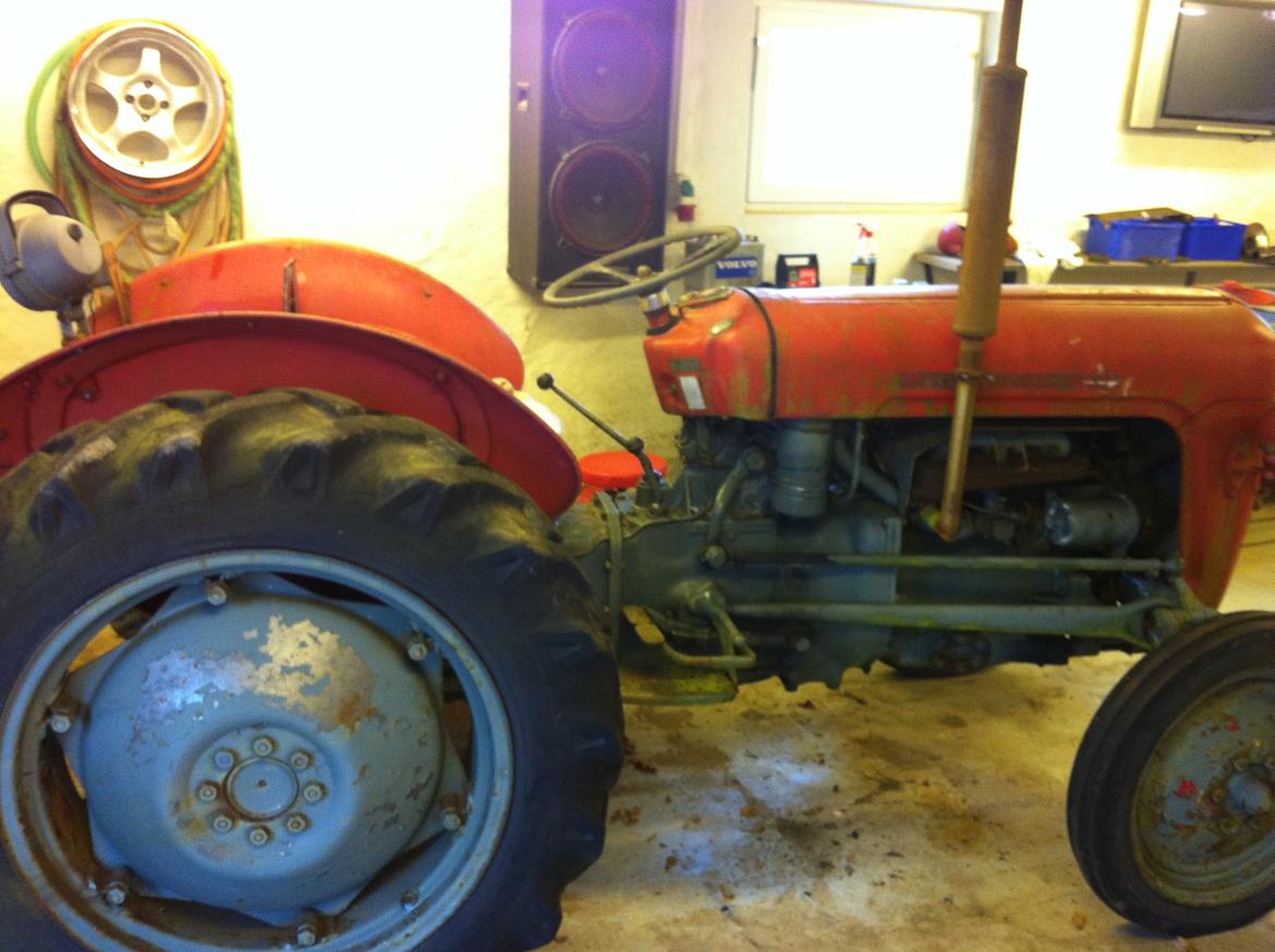 Massey Ferguson 35 Benzin billede 3