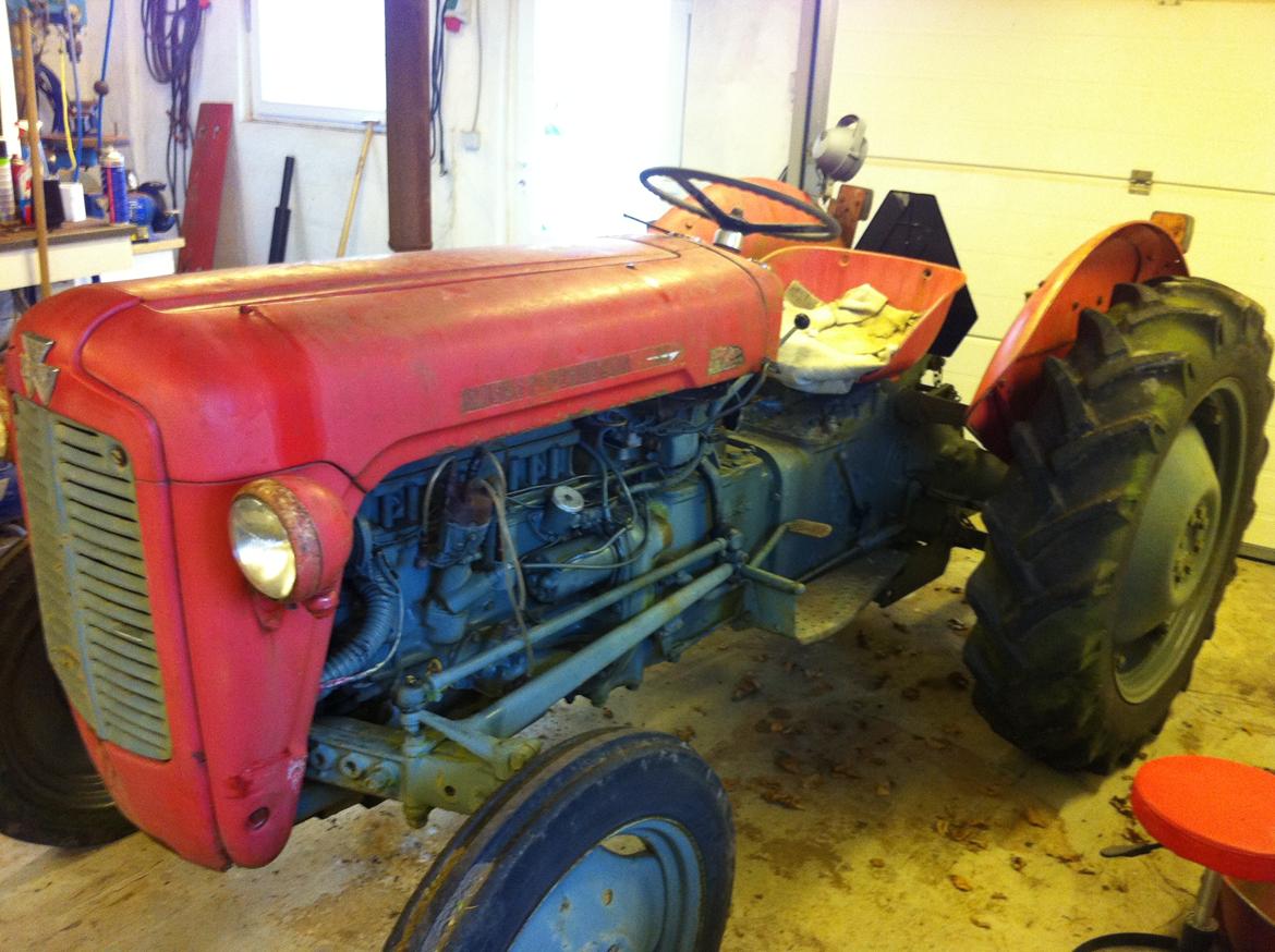 Massey Ferguson 35 Benzin billede 4