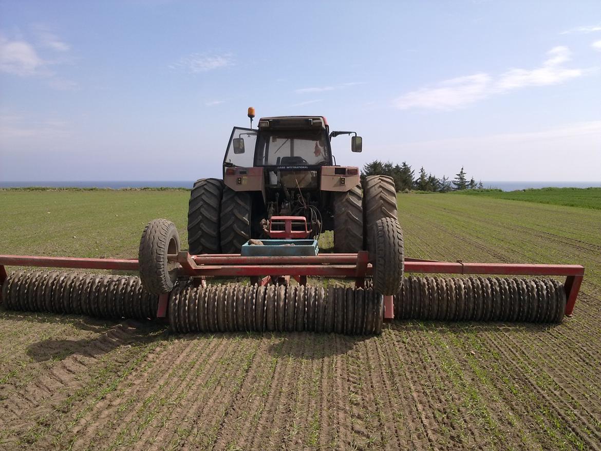 Case IH 5150 - 6 m trommel billede 4